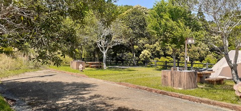 155-140(54-54)うめキャンプ村504_132438