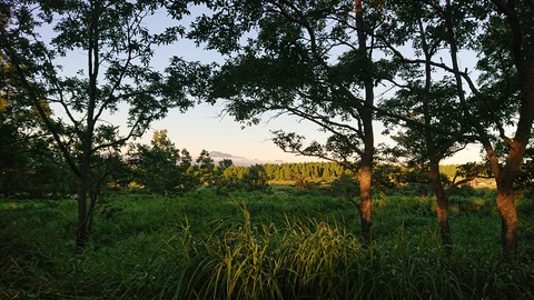 56-45(11-9)久住山荘南登山口C124