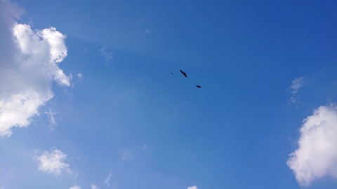 34-27川尻岬キャンプ場418