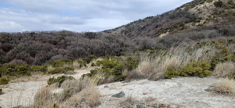 251-232(40-37)伽藍岳ゲリラキャン303_105814