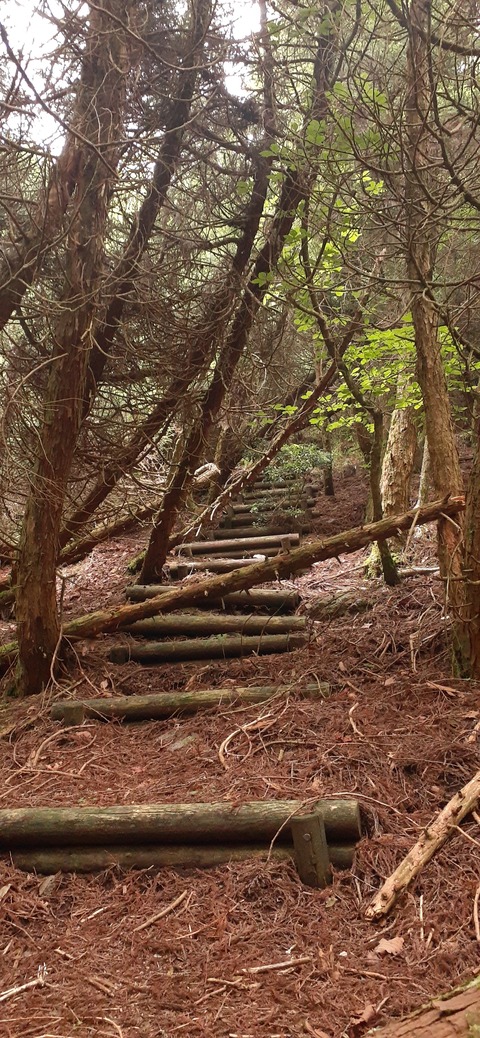 268-248(5-4)万年山616_081224