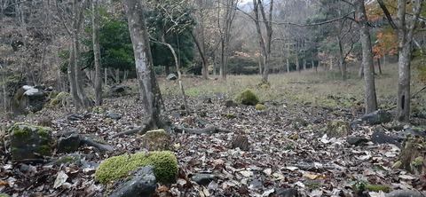 182-166(24-23)牧の原キャンプ場2回目1113_064122