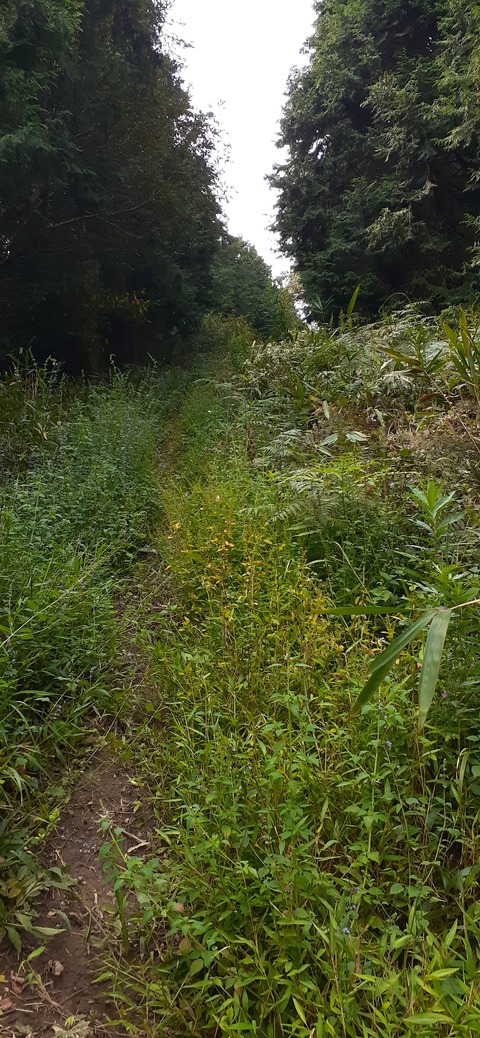 231-214(20-19)牛斬山1001_132406