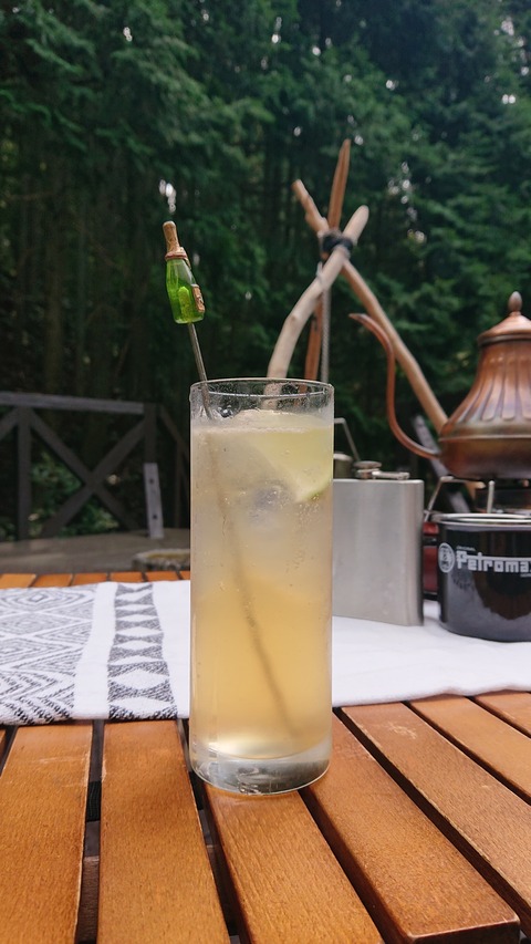 118-103(17-17)グランピングKAWASAKI２63S