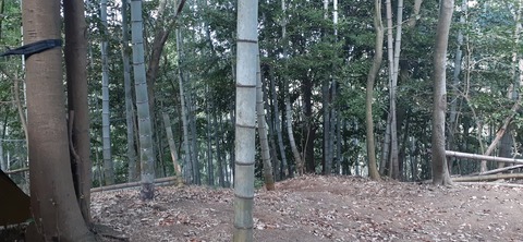 193-177(35-34)峰やしき204_133154