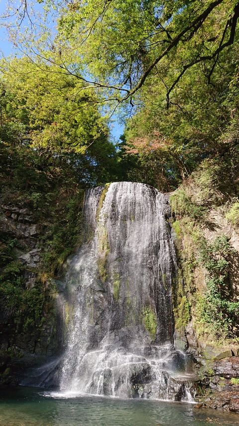 122-107(21-21)阿蘇レインボーバレー835