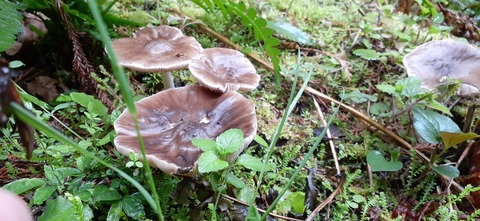 151-136(50-50)423湯の浦総合キャンプ場_173110