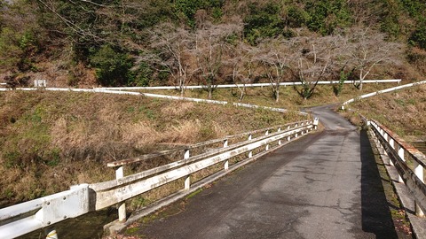 130-115(29-29)新平ヶ原公園キャンプ場862