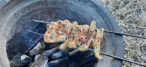 251-232(40-37)伽藍岳ゲリラキャン302_170126