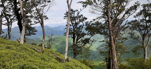 168-153(10-10)英彦山登山731_141541