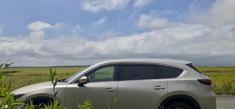 223-206(12-11)四季見原すこやかの森②815_111111