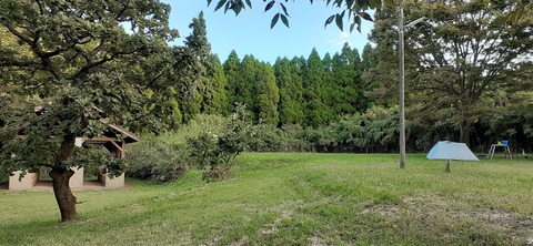 176-161(18-18)坊中野営場1008_164618