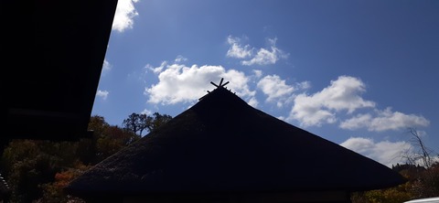 179-163(21-20)ゴンドーシャロレー7泊目1030_110828