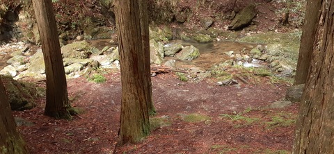 202-186(44-43)八木山渓流公園325_110141