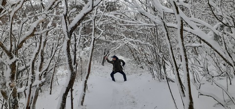 238-221(27-26)法華院温泉山荘1118_115055