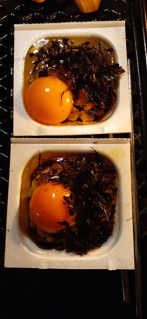 249-230(38-35)RECAMP志高湖210_192209