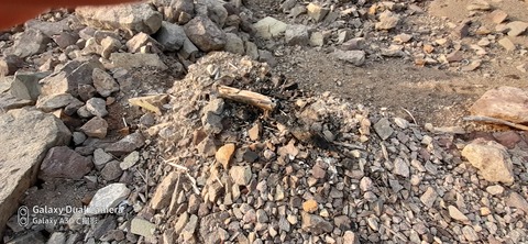 131-116(30-30)大島津和瀬キャンプ場54935