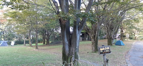 176-161(18-18)坊中野営場1008_164522