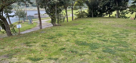 256-237(45-42)指宿レイクグリーン427_161821