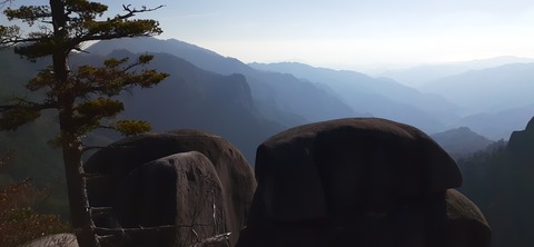 236-219(25-24)大崩山1104_083826