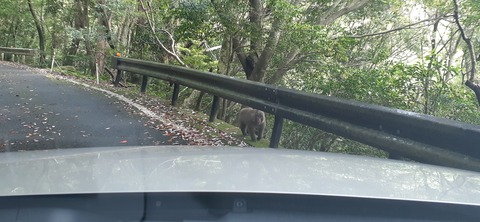 258-239(47-44)オーシャンビュー429_135910