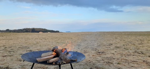 198-182(40-39)キワラビーチ225_165240
