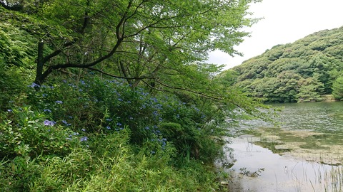 49-39物見山総合公園389S