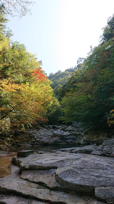 68-55(23-19)藤河内渓谷キャンプ場235S