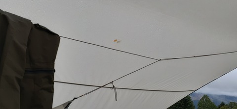 177-162(19-19)HGP南阿蘇OSCAMP1009_170828