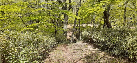 153-138(52-52)マゼノ 甲の瀬キャンプ村430_113720