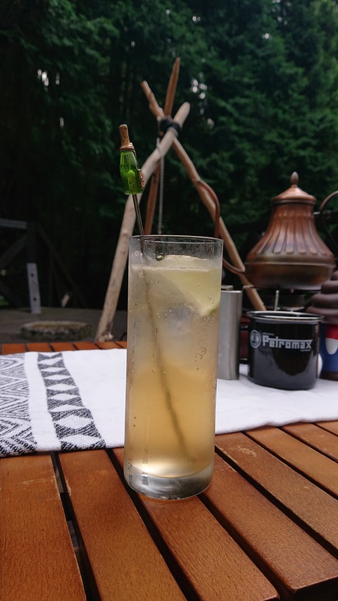 118-103(17-17)グランピングKAWASAKI２68S