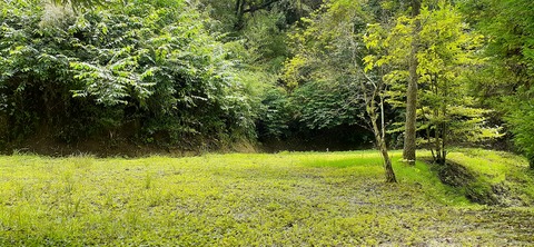 168-153(10-10)阿蘇ファンタジーの森806_122942