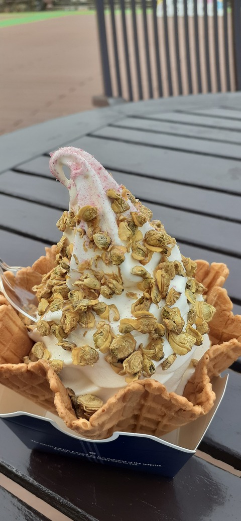 194-178(36-35)ゴンドーシャロレー⑨212_140005