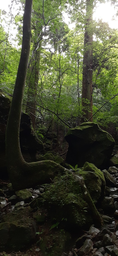 168-153(10-10)英彦山登山731_094239