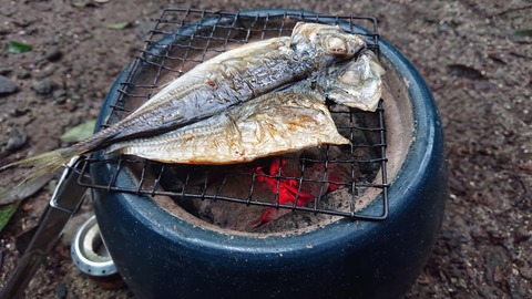 52-41矢谷渓谷キャンプ場673S