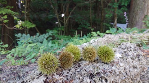 114-99(13-13)9.BASE 548