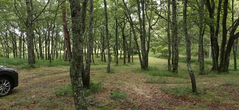 172-157(14-14)くじゅう自然動物園903_112725