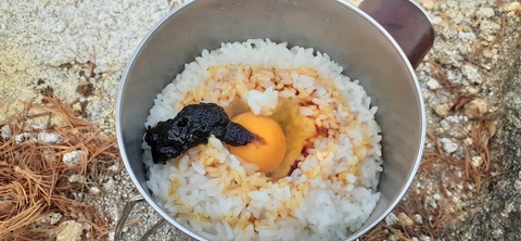 236-219(25-24)大崩山1104_132835