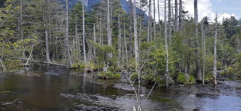 271-251(8-7) 上高地穂高岳813_140424