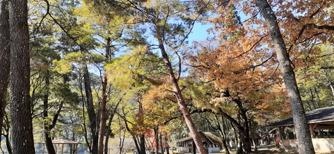 241-224(30-29)奥霧島御池キャンプ場②1125_105331