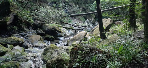 276-256(13-12)八木山渓流公園1005_164508