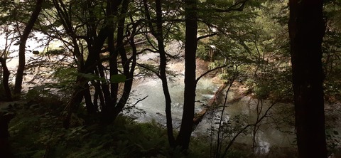 271-251(8-7) 上高地穂高岳813_153426
