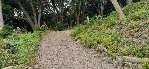 213-197(2-2)レムブランベースC527_133303