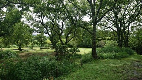 111-96(10-10)くじゅうエイドST166