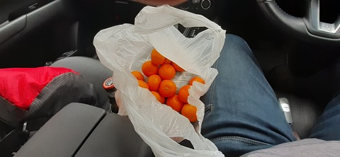 134-119(33-33)ドラゴンキャンプ場29_115147