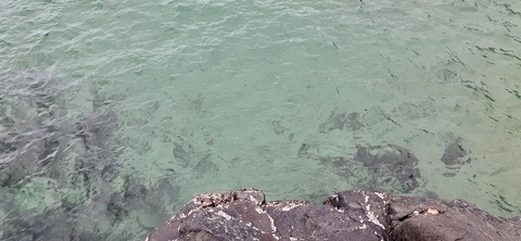 258-239(47-44)オーシャンビュー429_132127