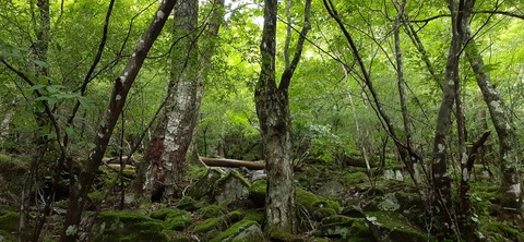 168-153(10-10)英彦山登山731_095656