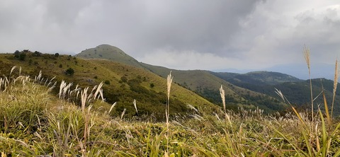 233-216(22-21)9.BASE1014_105727