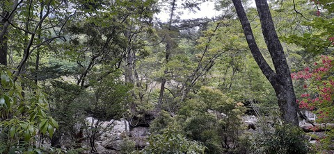 156-141(55-55)鹿川キャンプ場505_152752