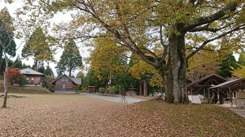 69-56(24-20)歌瀬キャンプ場315S